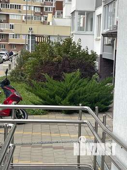 1-к квартира, на длительный срок, 42м2, 5/17 этаж