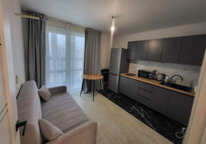 1-к квартира, на длительный срок, 38м2, 13/17 этаж