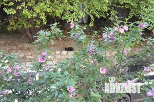 2-к квартира, посуточно, 40м2, 1/5 этаж