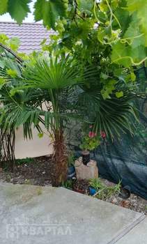 1-к квартира, на длительный срок, 25м2, 1/1 этаж