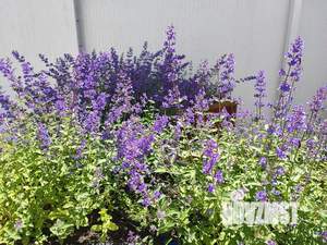 1-к квартира, посуточно, 37м2, 21/23 этаж