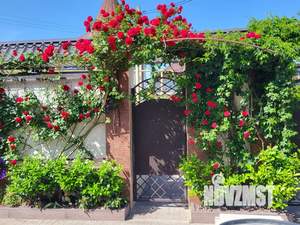 1-к квартира, посуточно, 47м2, 1/2 этаж