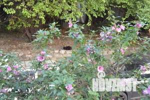 2-к квартира, посуточно, 43м2, 1/5 этаж