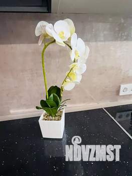 Студия квартира, посуточно, 30м2, 13/20 этаж