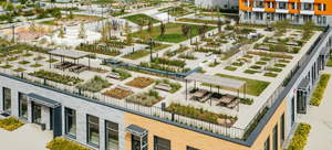 Студия квартира, на длительный срок, 25м2, 10/20 этаж