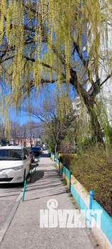 3-к квартира, на длительный срок, 70м2, 6/10 этаж