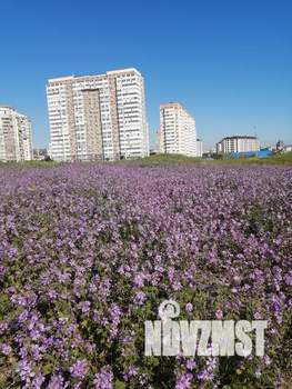 1-к квартира, посуточно, 39м2, 3/16 этаж