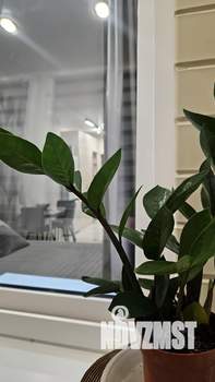 Студия квартира, на длительный срок, 25м2, 8/12 этаж