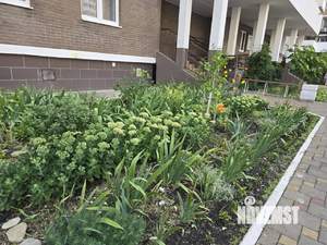 1-к квартира, на длительный срок, 39м2, 7/21 этаж