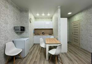 Студия квартира, на длительный срок, 26м2, 14/20 этаж