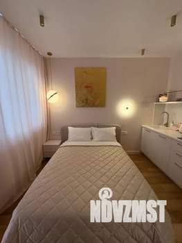 Студия квартира, посуточно, 24м2, 20/24 этаж