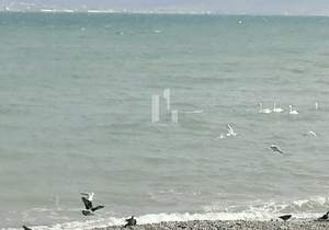 2-к квартира, вторичка, 42м2, 1/4 этаж