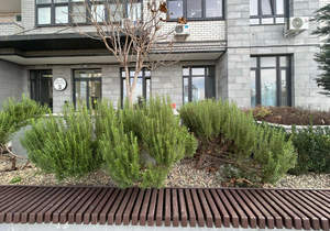 Студия квартира, вторичка, 23м2, 5/18 этаж