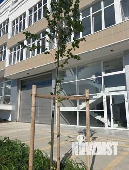 1-к квартира, вторичка, 38м2, 2/8 этаж