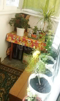2-к квартира, вторичка, 57м2, 3/16 этаж