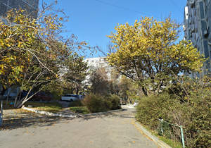 1-к квартира, вторичка, 37м2, 1/9 этаж