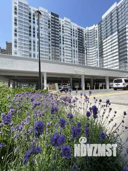 2-к квартира, вторичка, 50м2, 12/23 этаж