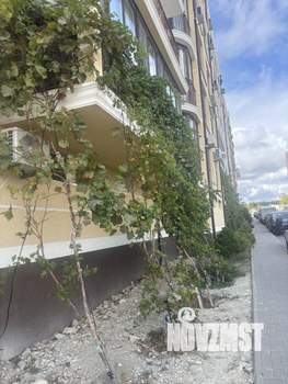 Студия квартира, вторичка, 20м2, 1/6 этаж