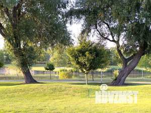 3-к квартира, вторичка, 156м2, 1/2 этаж