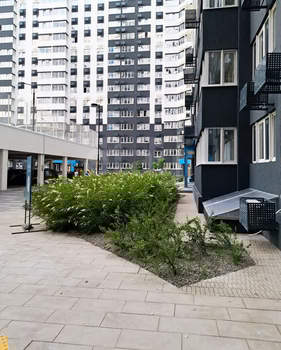 Студия квартира, вторичка, 23м2, 13/23 этаж