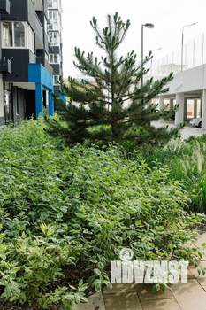 2-к квартира, сданный дом, 64м2, 21/24 этаж