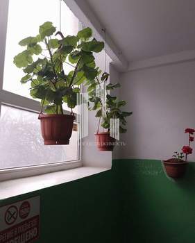 1-к квартира, вторичка, 35м2, 3/5 этаж