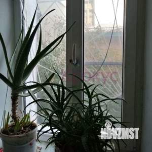 1-к квартира, вторичка, 36м2, 1/2 этаж