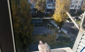 1-к квартира, вторичка, 22м2, 5/5 этаж