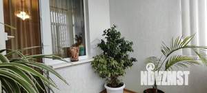 3-к квартира, вторичка, 72м2, 5/10 этаж