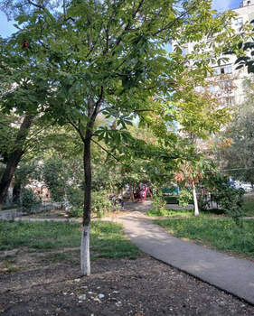 1-к квартира, вторичка, 33м2, 3/10 этаж