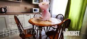 1-к квартира, вторичка, 46м2, 1/4 этаж