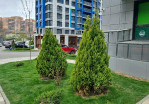 1-к квартира, вторичка, 42м2, 11/20 этаж