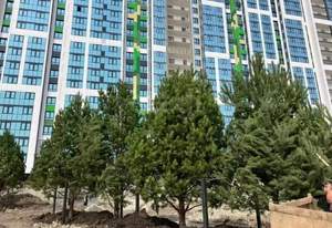 1-к квартира, вторичка, 34м2, 6/24 этаж