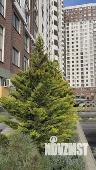 1-к квартира, вторичка, 43м2, 6/24 этаж