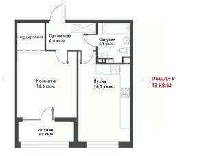 1-к квартира, сданный дом, 43м2, 10/20 этаж