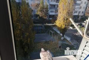 1-к квартира, вторичка, 22м2, 5/5 этаж